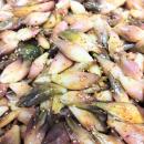 みょうが醤油漬け